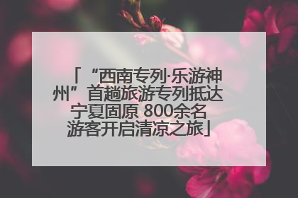 “西南专列·乐游神州”首趟旅游专列抵达宁夏固原 800余名游客开启清凉之旅