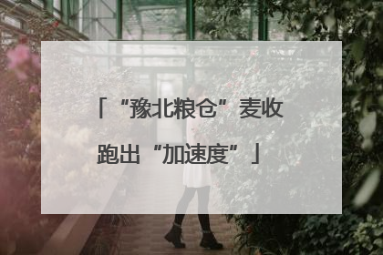 “豫北粮仓”麦收跑出“加速度”