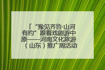 “豫见齐鲁·山河有约”跟着戏剧游中原——河南文化旅游（山东）推广周活动菏泽站活动举行