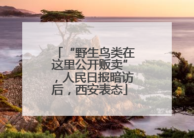 “野生鸟类在这里公开贩卖”，人民日报暗访后，西安表态