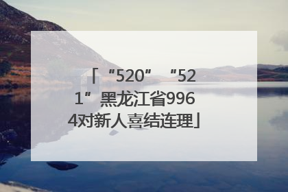 “520”“521”黑龙江省9964对新人喜结连理