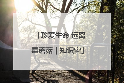 珍爱生命 远离毒蘑菇｜知识窗