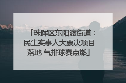 珠晖区东阳渡街道：民生实事人大票决项目落地 气排球赛点燃