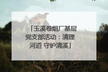 玉溪卷烟厂基层党支部活动：清理河道 守护清溪