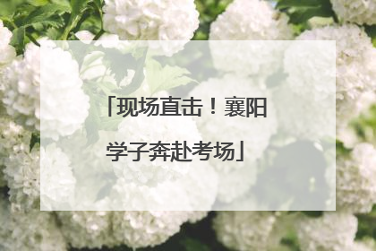 现场直击！襄阳学子奔赴考场