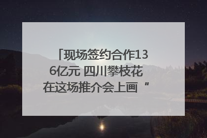 现场签约合作136亿元 四川攀枝花在这场推介会上画“图谱”列“清单”