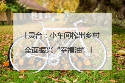 灵台：小车间榨出乡村全面振兴“幸福油”