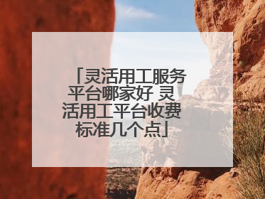 灵活用工服务平台哪家好 灵活用工平台收费标准几个点