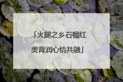 火腿之乡石榴红 美育润心情共融