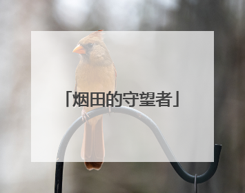 烟田的守望者