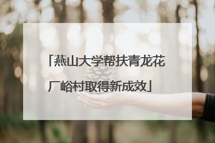 燕山大学帮扶青龙花厂峪村取得新成效