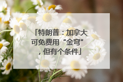 特朗普：加拿大可免费用“金穹”，但有个条件