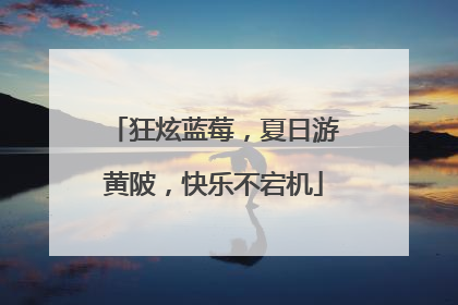 狂炫蓝莓，夏日游黄陂，快乐不宕机