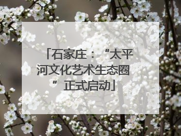 石家庄：“太平河文化艺术生态圈”正式启动