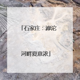 石家庄：滹沱河畔夏意浓