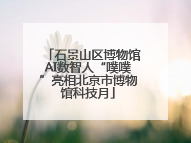 石景山区博物馆AI数智人“噗噗”亮相北京市博物馆科技月
