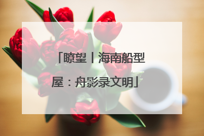 瞭望丨海南船型屋：舟影录文明