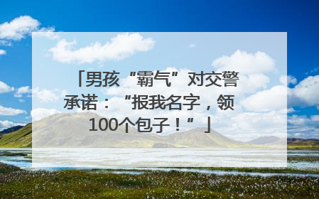 男孩“霸气”对交警承诺：“报我名字，领100个包子！”
