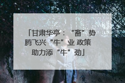 甘肃华亭：“畜”势腾飞兴“牛”业 政策助力添“牛”劲