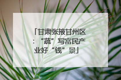 甘肃张掖甘州区：“蔬”写富民产业好“钱”景
