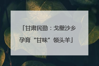 甘肃民勤：戈壁沙乡孕育“甘味”领头羊