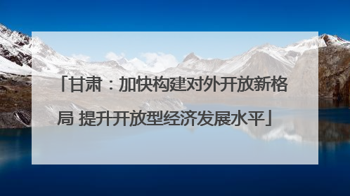 甘肃：加快构建对外开放新格局 提升开放型经济发展水平