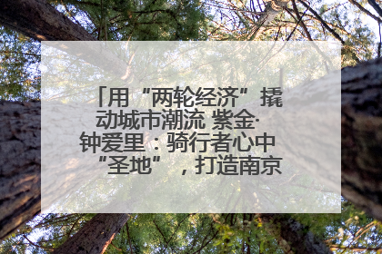 用“两轮经济”撬动城市潮流 紫金·钟爱里：骑行者心中“圣地”，打造南京的“阿那亚”
