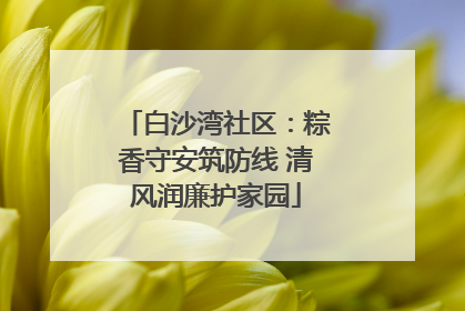 白沙湾社区：粽香守安筑防线 清风润廉护家园