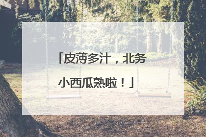 皮薄多汁，北务小西瓜熟啦！