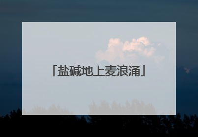 盐碱地上麦浪涌