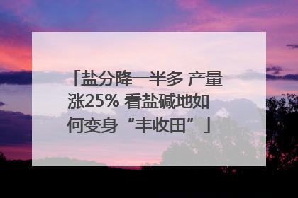 盐分降一半多 产量涨25% 看盐碱地如何变身“丰收田”