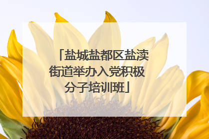 盐城盐都区盐渎街道举办入党积极分子培训班