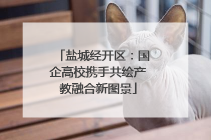 盐城经开区：国企高校携手共绘产教融合新图景