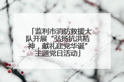 监利市消防救援大队开展“弘扬抗洪精神，献礼建党华诞”主题党日活动