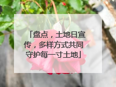 盘点，土地日宣传，多样方式共同守护每一寸土地