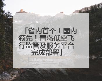 省内首个！国内领先！青岛低空飞行监管及服务平台完成部署