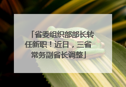 省委组织部部长转任新职！近日，三省常务副省长调整