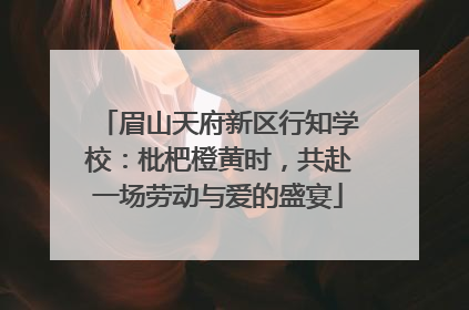 眉山天府新区行知学校：枇杷橙黄时，共赴一场劳动与爱的盛宴