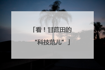 看！甘蔗田的“科技范儿”