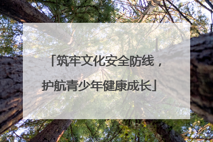 筑牢文化安全防线，护航青少年健康成长