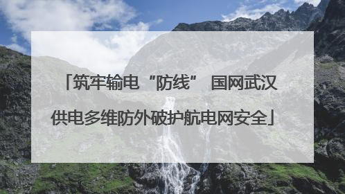 筑牢输电“防线” 国网武汉供电多维防外破护航电网安全