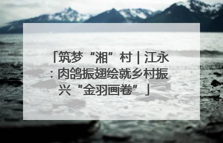 筑梦“湘”村｜江永：肉鸽振翅绘就乡村振兴“金羽画卷”