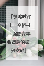 筝鸣时评丨一空桥村：强筋麦丰收背后的振兴密码