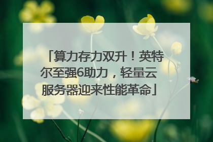 算力存力双升！英特尔至强6助力，轻量云服务器迎来性能革命