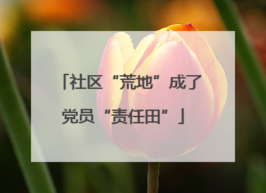 社区“荒地”成了党员“责任田”