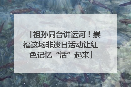 祖孙同台讲运河！崇福这场非遗日活动让红色记忆“活”起来