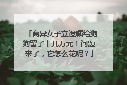 离异女子立遗嘱给狗狗留了十几万元！问题来了，它怎么花呢？