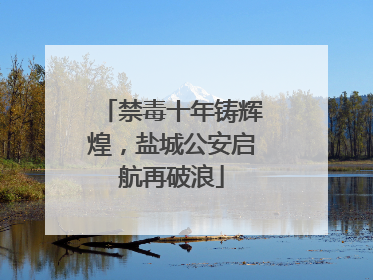 禁毒十年铸辉煌，盐城公安启航再破浪