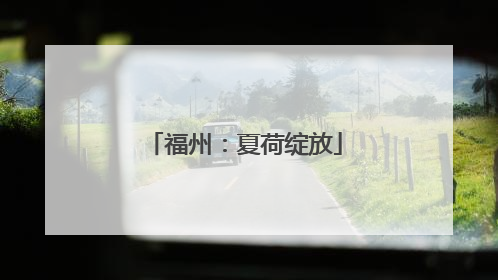 福州：夏荷绽放
