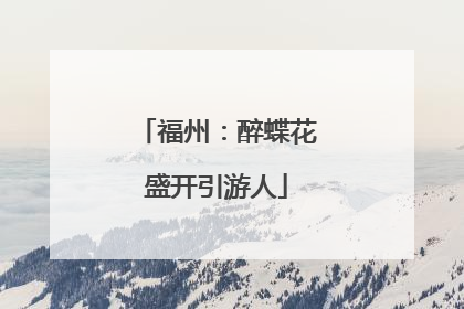 福州：醉蝶花盛开引游人